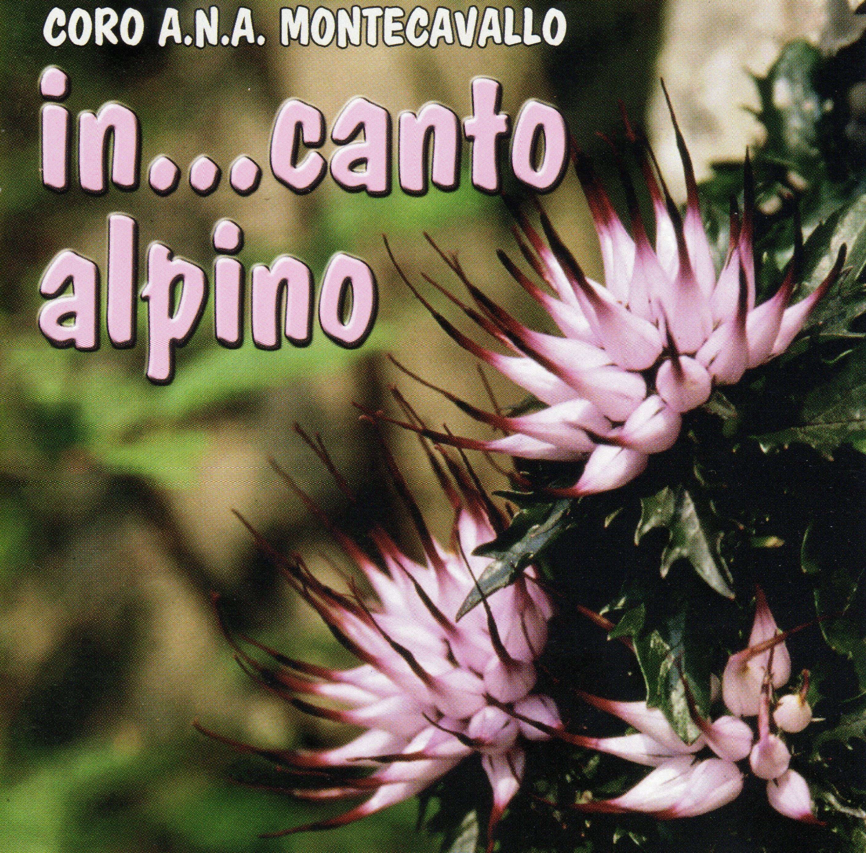 CD3 in...canto alpino