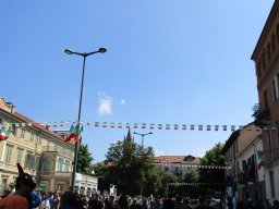 037_img_2670